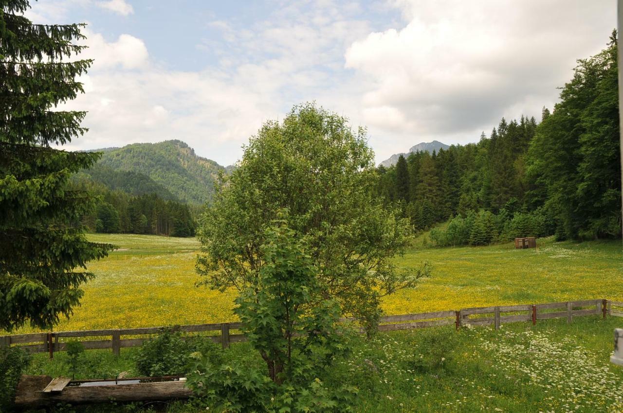 Gatterl Zum See Reit im Winkl Exterior photo