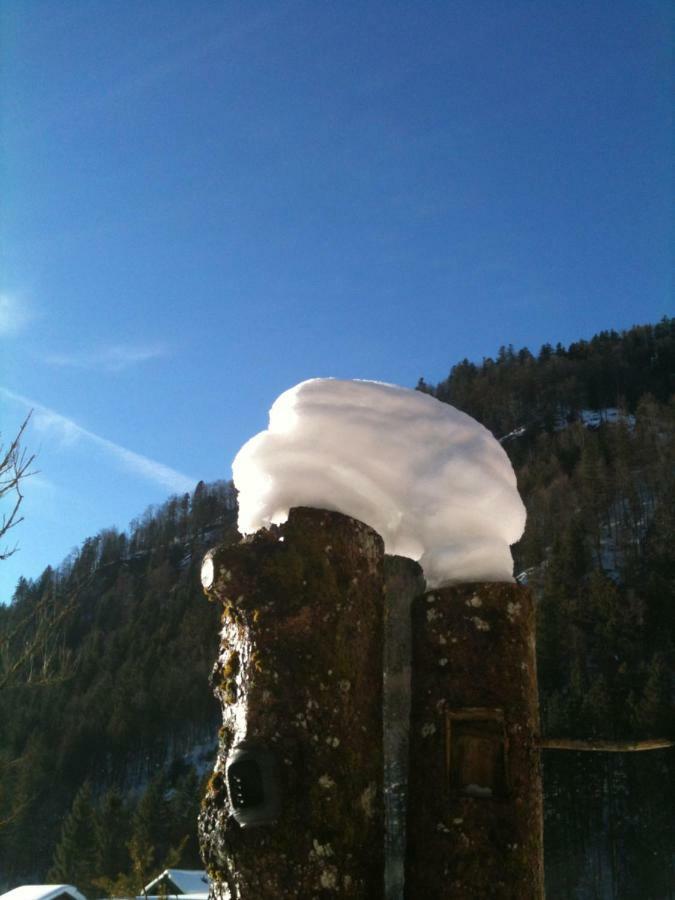 Gatterl Zum See Reit im Winkl Exterior photo